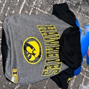 Team hoodie pet wear, collegiate. Iowa Hawkeyes